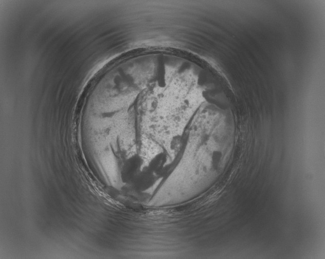 X0000080690879200701121722