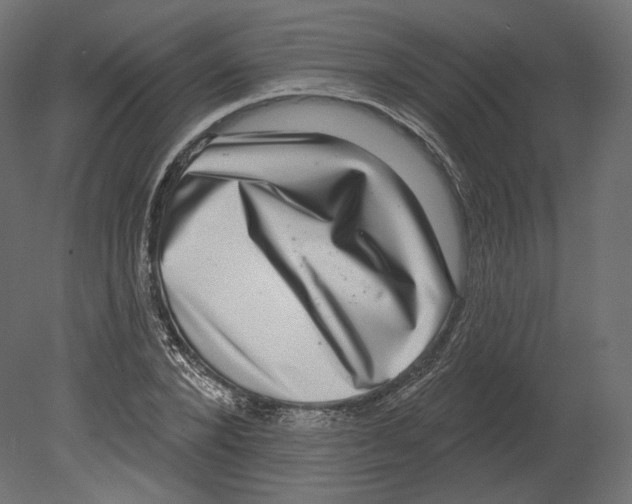 X0000080690880200701121722