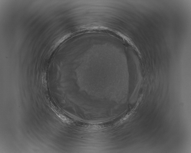 X0000080690881200701121722