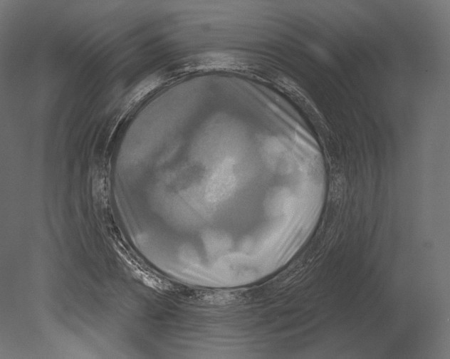 X0000080690882200701121722