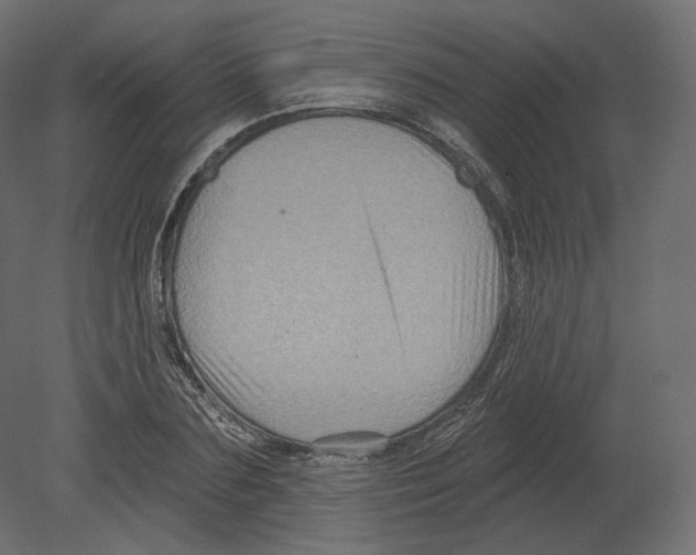 X0000080690883200701121722