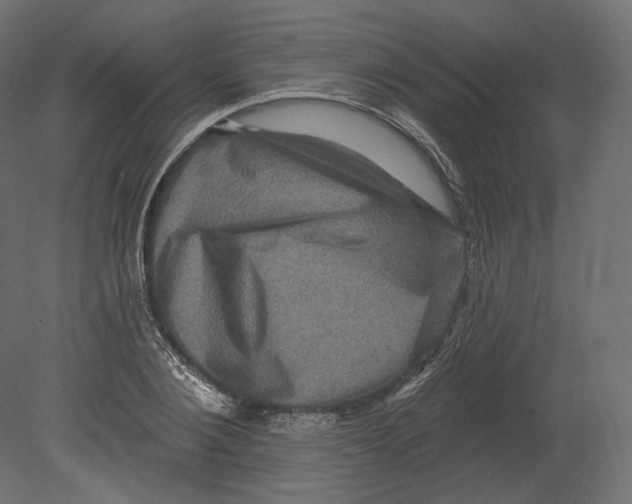 X0000080690884200701121722