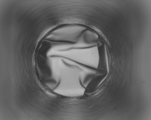 X0000080690885200701121722