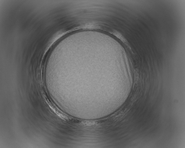 X0000080690886200701121722