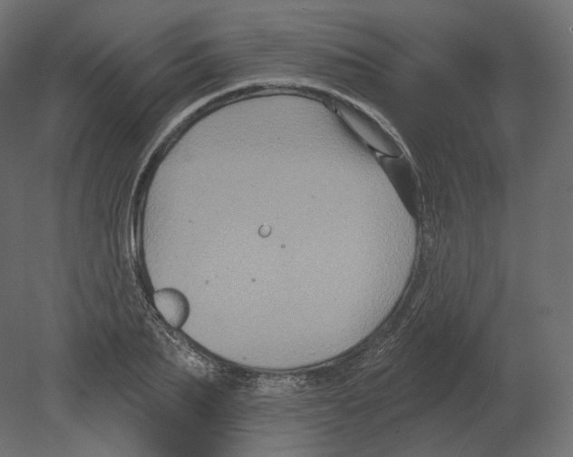 X0000080690887200701121722