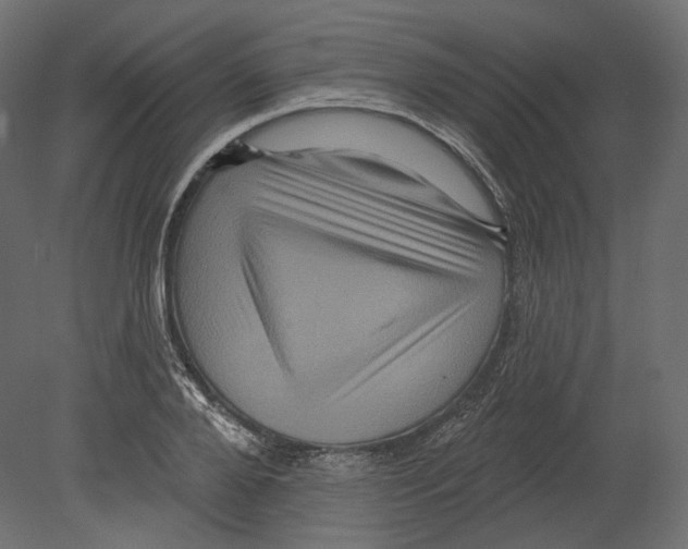 X0000080690888200701121722