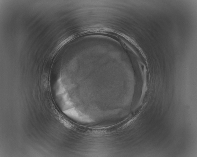 X0000080690889200701121722