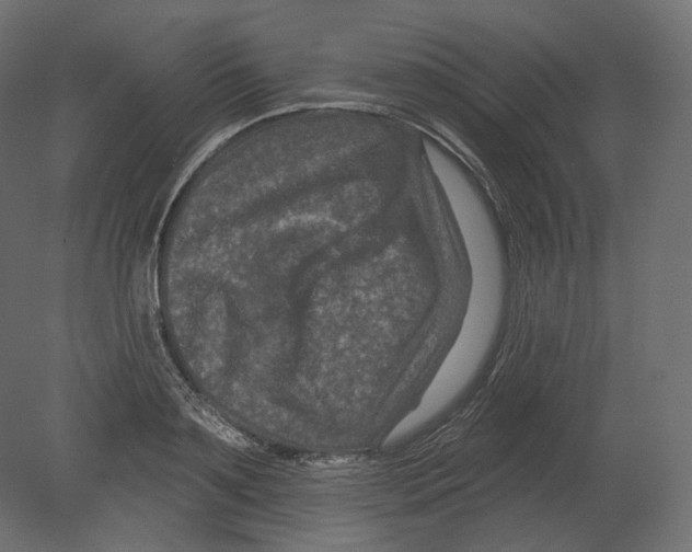 X0000080690891200701121722