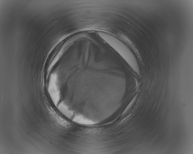 X0000080690892200701121722