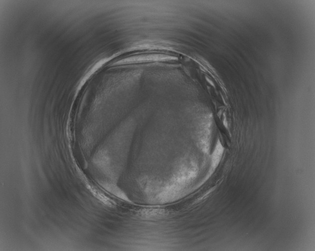 X0000080690893200701121722