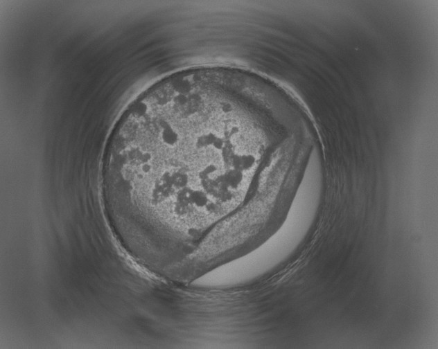 X0000080690895200701121722