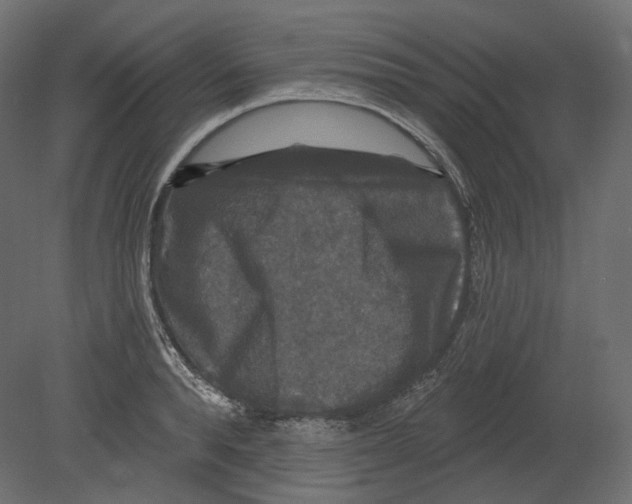 X0000080690896200701121722