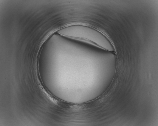 X0000080690898200701121722