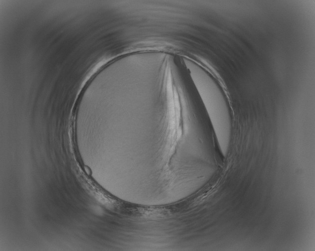 X0000080690899200701121722