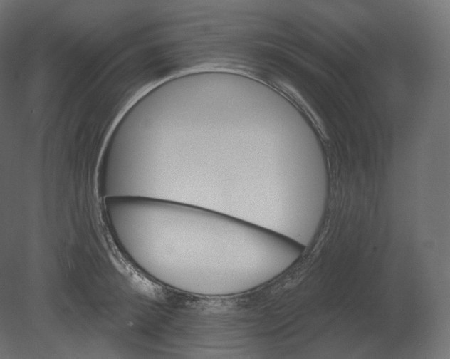 X0000080690900200701121722