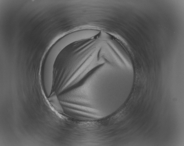 X0000080690902200701121722