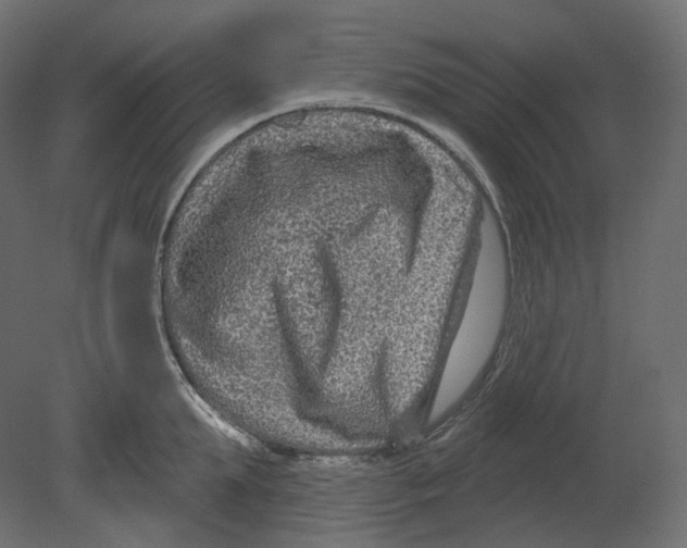 X0000080690903200701121722