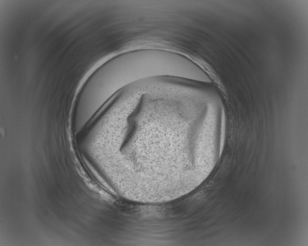 X0000080690904200701121722