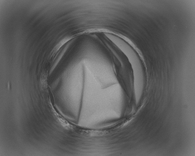 X0000080690905200701121722