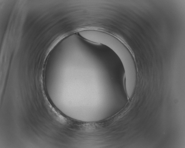 X0000080690906200701121722