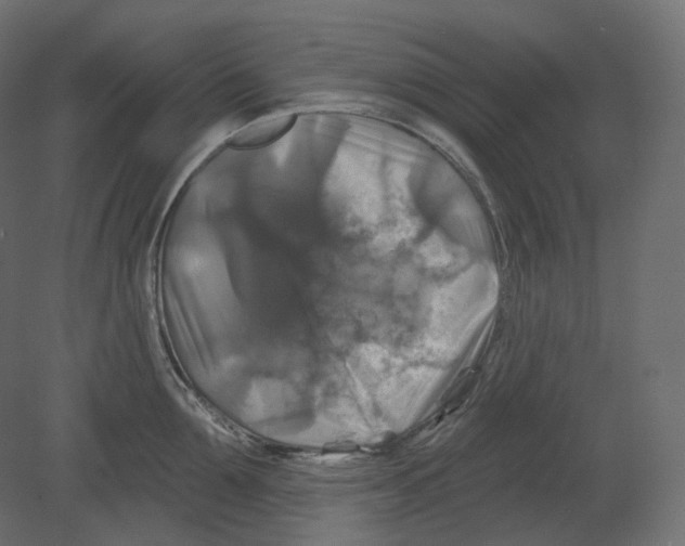 X0000080690907200701121722