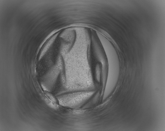 X0000080690908200701121722