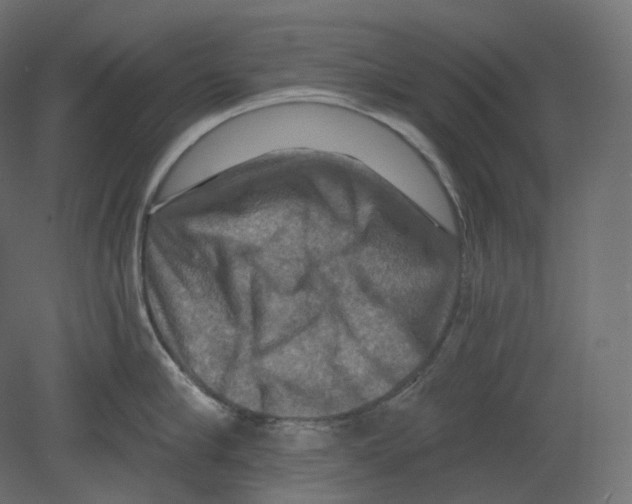 X0000080690910200701121722