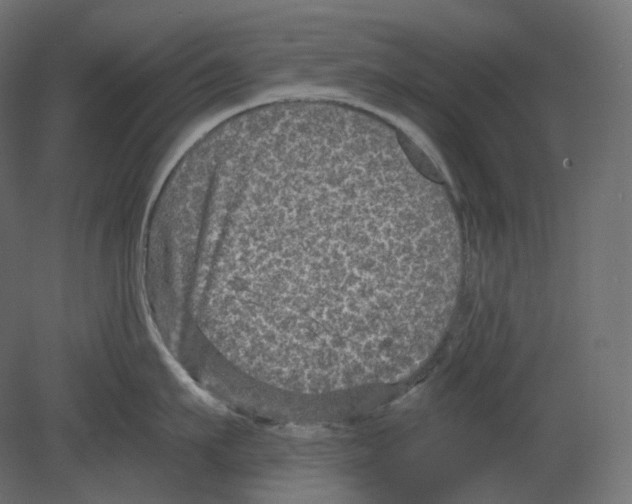 X0000080690911200701121722