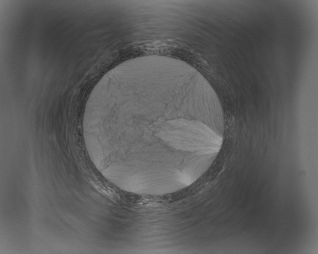 X0000080690913200701121721