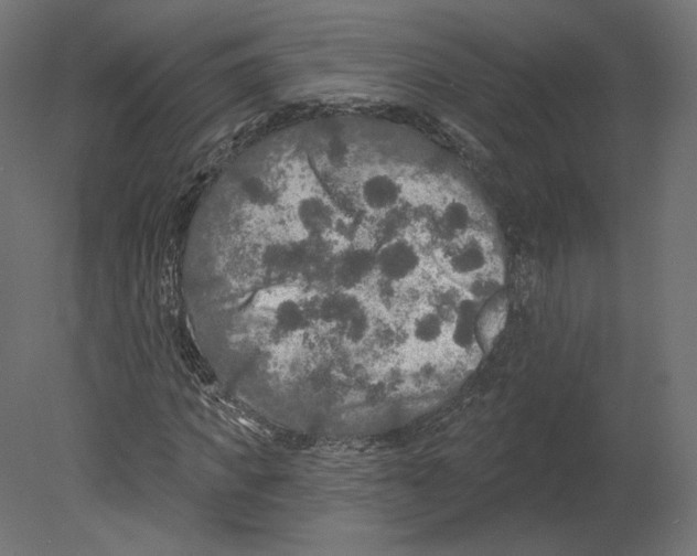 X0000080690917200701121721