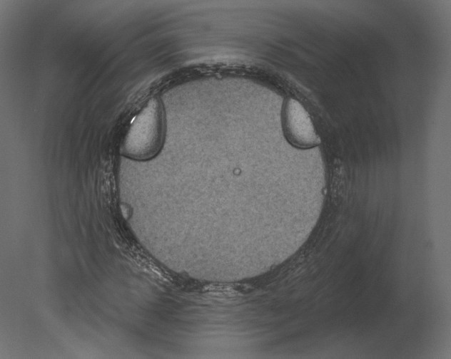 X0000080690918200701121721