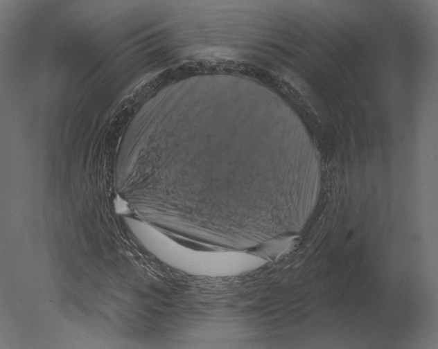 X0000080690919200701121721