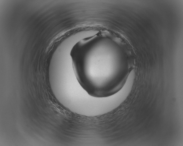 X0000080690920200701121721