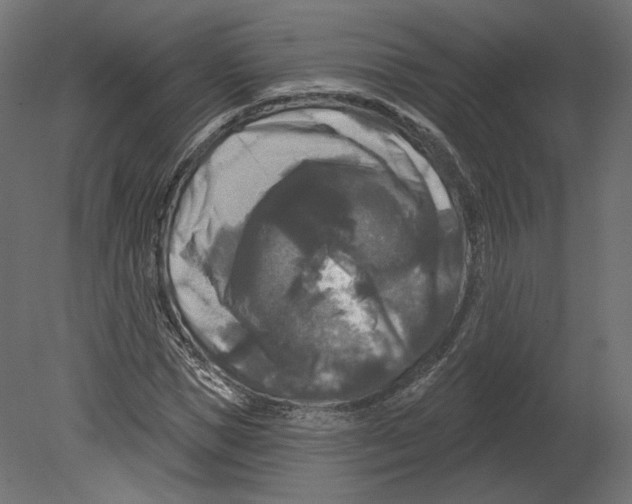 X0000080690921200701121721