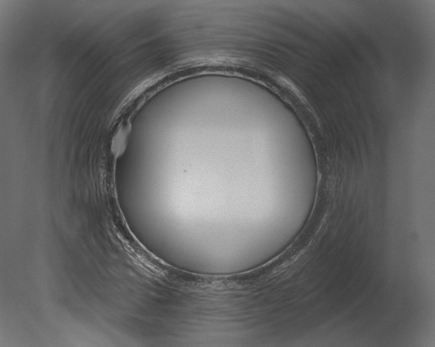 X0000080690922200701121721