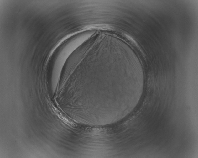 X0000080690923200701121721