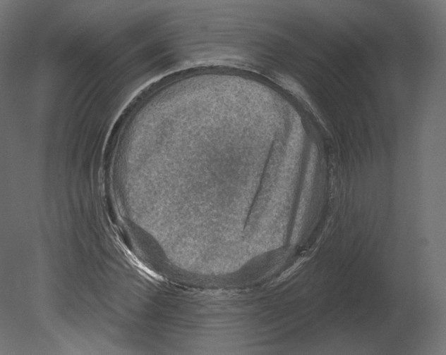 X0000080690924200701121721