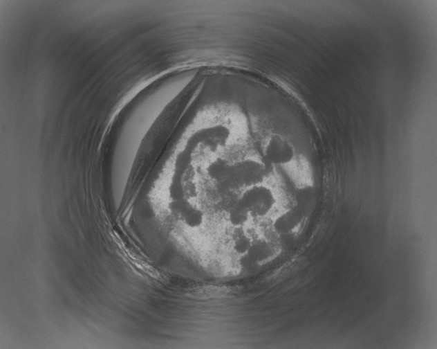 X0000080690925200701121721