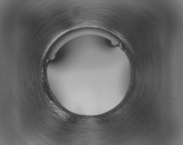 X0000080690926200701121721