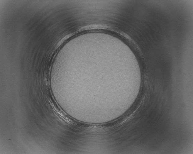 X0000080690929200701121721