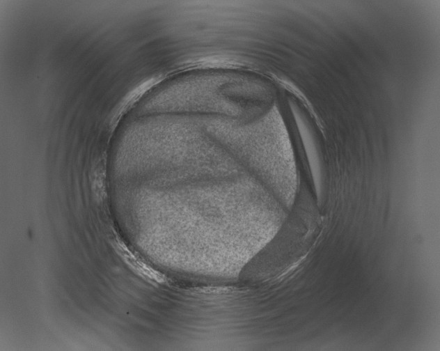 X0000080690930200701121721