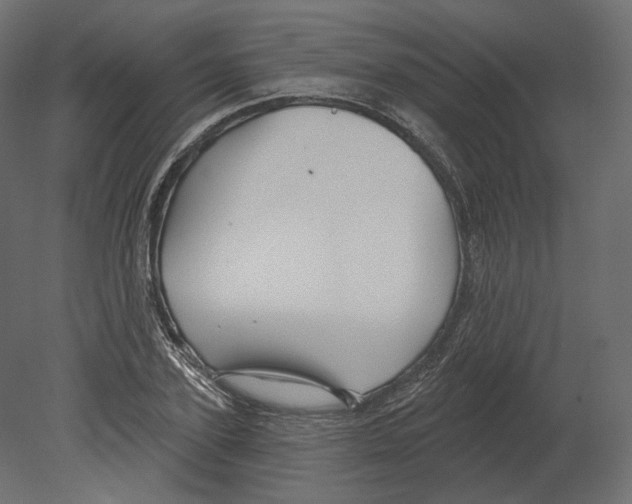 X0000080690931200701121721