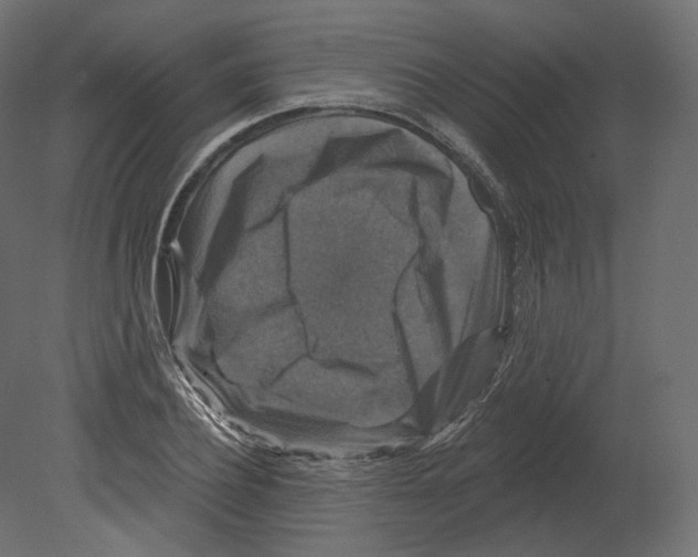 X0000080690932200701121721