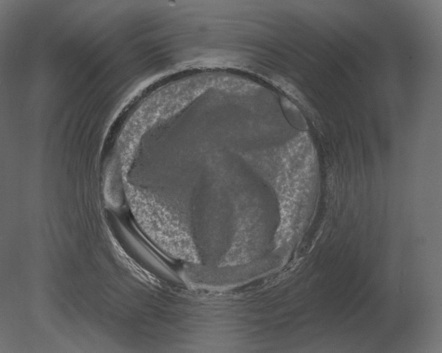 X0000080690934200701121721