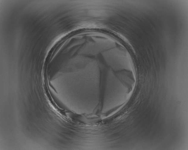 X0000080690935200701121721