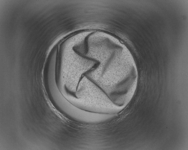 X0000080690936200701121721