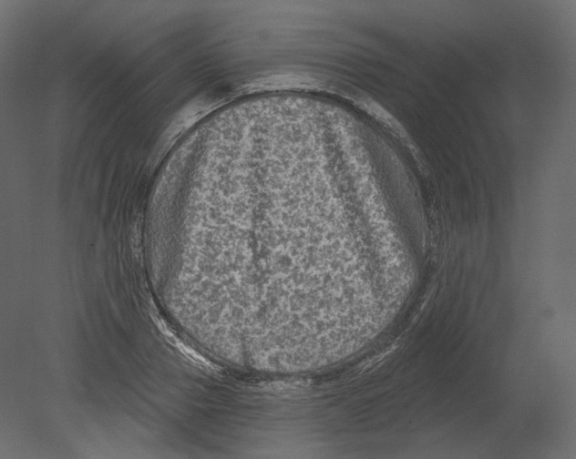 X0000080690937200701121721