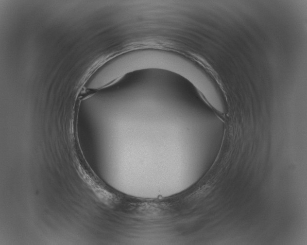 X0000080690938200701121721