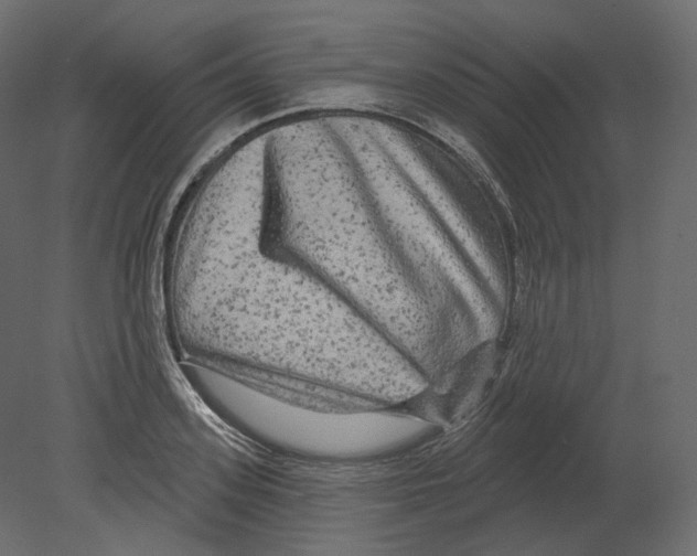 X0000080690939200701121721