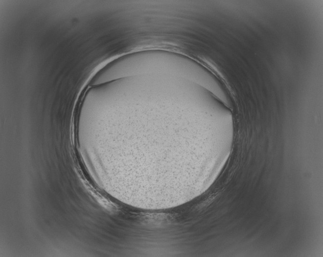 X0000080690940200701121721